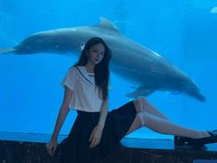 -海合安成都极地海洋公园