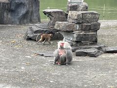 -宁波野生动物园