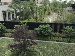 -上海崇明金茂凯悦酒店