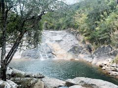 -海南霸王岭国家森林公园