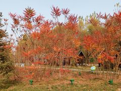 -林栖谷森林康养度假区