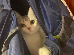 -热高乐园巴厘岛水世界