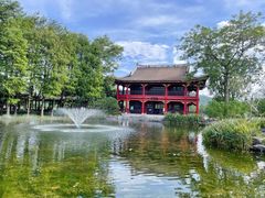 -顺峰山公园