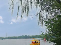 -大兴滨河森林公园