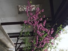 灵岩山风景区-灵岩山风景区