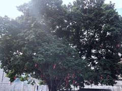 -悦城龙母祖庙