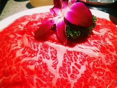 -园里火锅(仁和新城店)