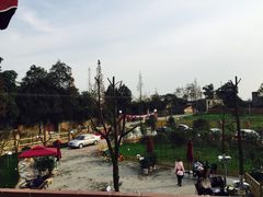 -森居forest休闲咖啡聚集地