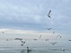 -银沙滩浴场