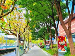 -星巴克(新达汇三林店)