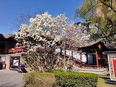 -碑林公园