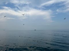 -海驴岛(荣成市)