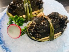 -牛New寿喜烧(金茂览秀城店)