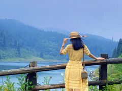 -武陵山森林公园