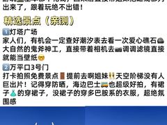 -日照海滨国家森林公园
