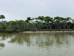 -东寨港红树林旅游区