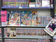 ONE&nbsp;PiECE-Animate(秋叶原本馆)