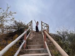 -西安祥峪森林公园