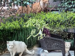 -杭州君悦酒店·青莳