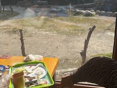 -上海野生动物园老虎餐厅