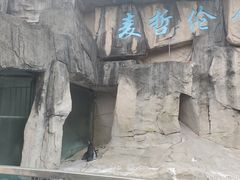 -深圳野生动物园