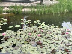 -兰州大学(榆中校区)