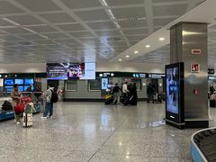 -米兰-马尔彭萨机场