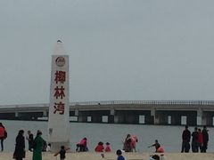 -东郊椰林