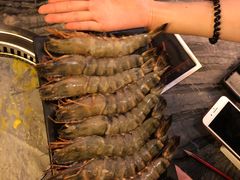 -熊出没日本烧肉放题