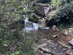 -东白山