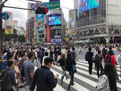 -涩谷全向十字路口