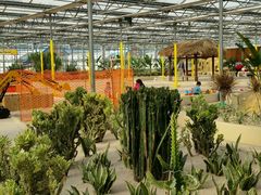 -南宫五洲植物乐园