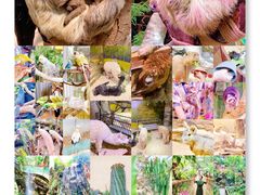 -正佳雨林生态植物园