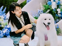 -青岛海尔洲际酒店