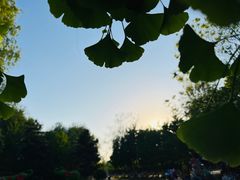 -长白岛森林公园