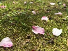 -御花园·粤菜·海鲜火锅(中山公园店)