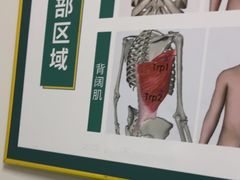 -通透堂中医·精准推拿(旗舰店)