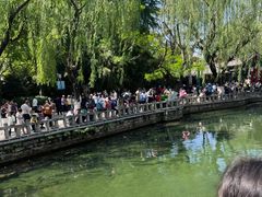 -老板恋上鱼(恒隆广场店)