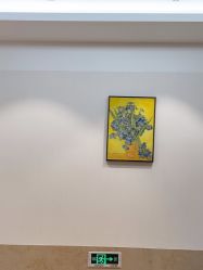 -上海薇琳医疗美容医院