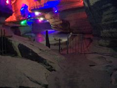 -梦幻奥陶纪景区