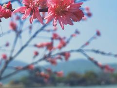-南北湖风景区