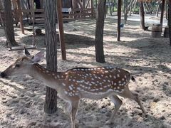 -南戴河国际娱乐中心