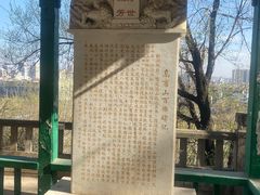 -高尔山公园