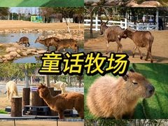 -盈香心动乐园