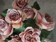 -双季花艺园艺市场(浦东店)