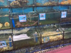 -范饭椰林川湘味海鲜·椰子鸡(三亚湾椰梦长廊店)