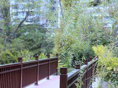 -厦门悦华酒店
