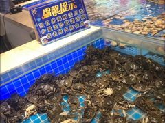 -万象·复兴号鲜肉烤肉海鲜自助(升级店)