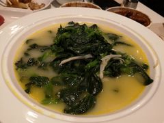 黄汤菜尖-金鼎轩(亚运村店)