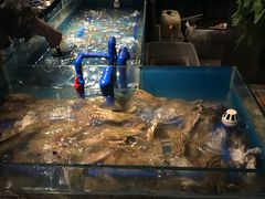 -星伦多 自助料理(圆融店)